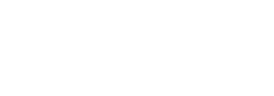 Cyber Bees IT